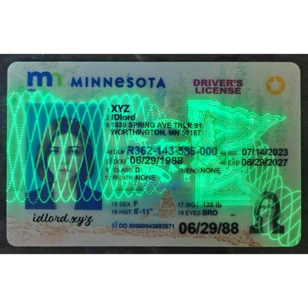 Minnesota ID Card