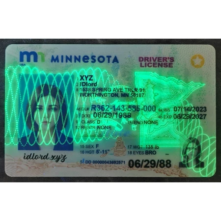 Minnesota ID Card