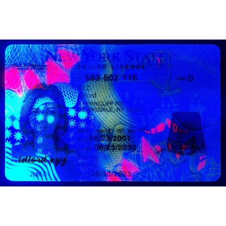New York ID Card