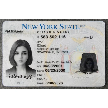 New York Driver License and ID Card