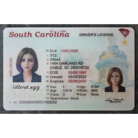 South Carolina Driver License and ID Card