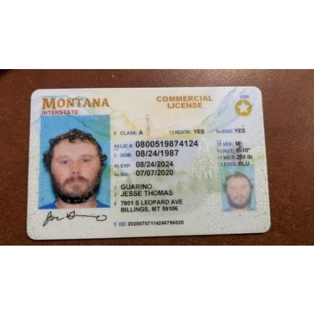 Montana Driver License and ID Card