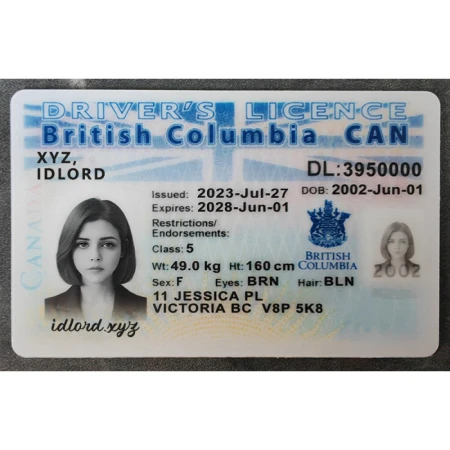British Columbia Driver Licence