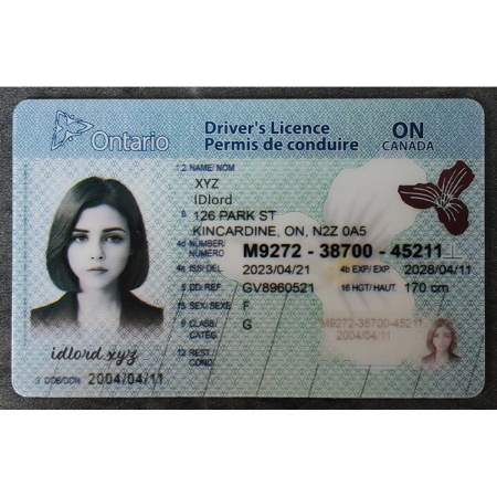 Ontario Driver Licence