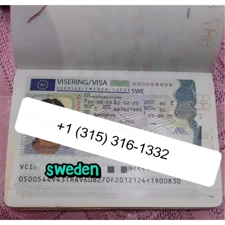 Sweden Visa