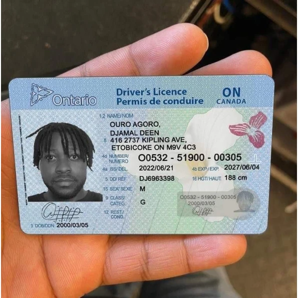 Canada Drivers License