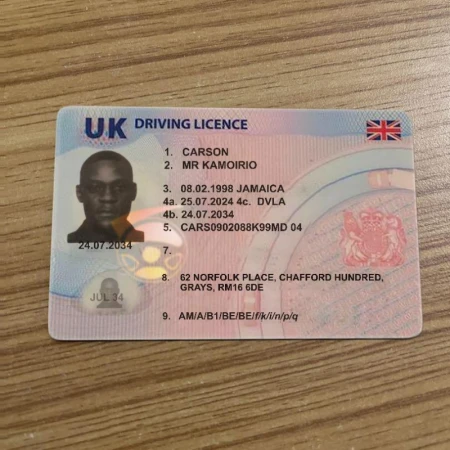 UK Driving Licence