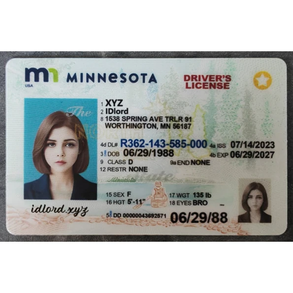 Minnesota Driver License and ID Card