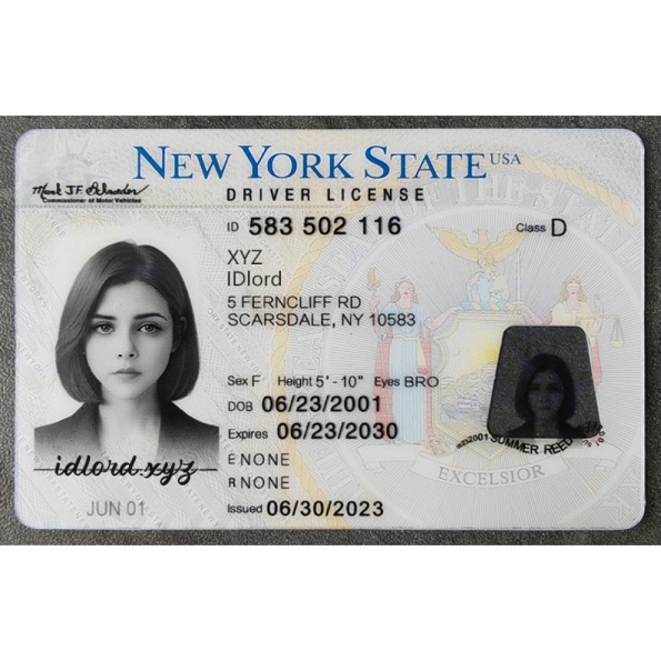 New York Driver License and ID Card
