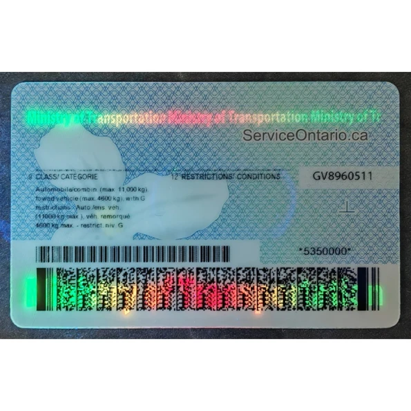 Driving License of Canada Ontario