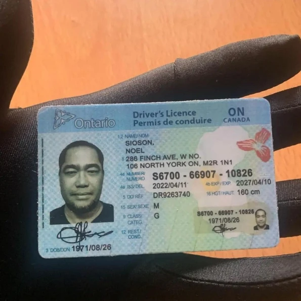 Ontario Driver License and ID Cards