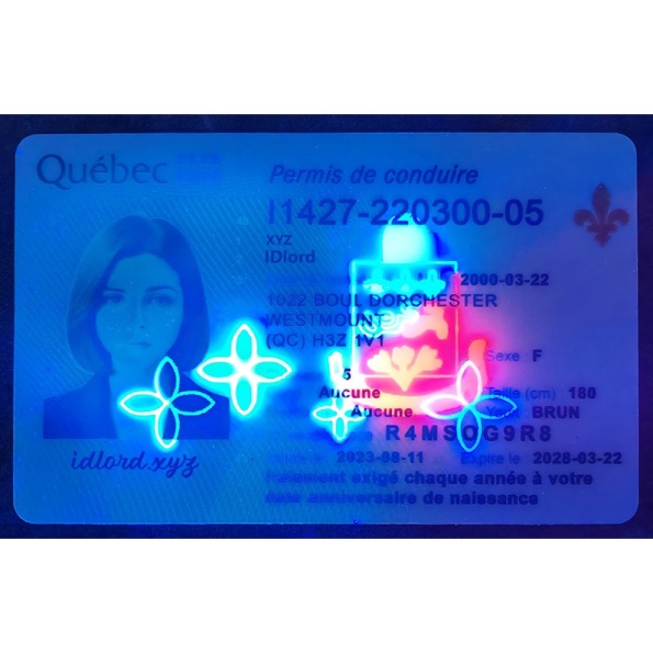 Quebec Driver License and ID Card