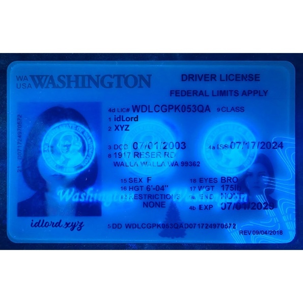 Washington ID Card