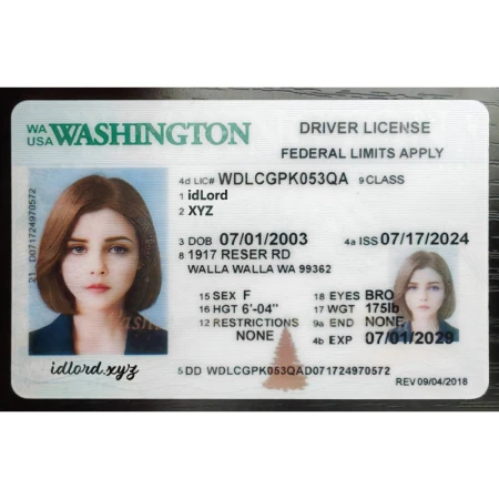 Washington Driver License and ID Card