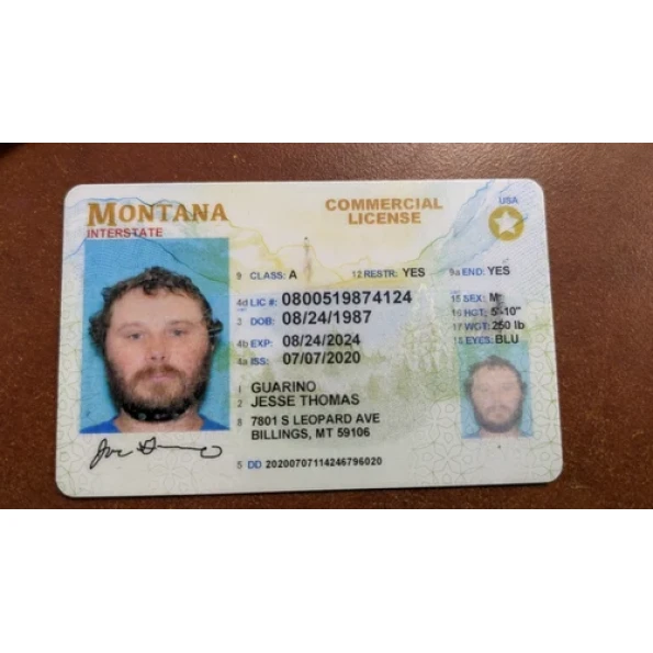 Montana Driver License and ID Card