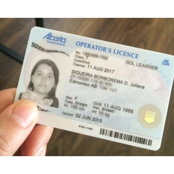 Alberta Driver Licence
