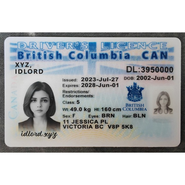 British Columbia Driver Licence