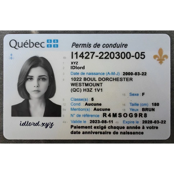 Quebec Driver Licence